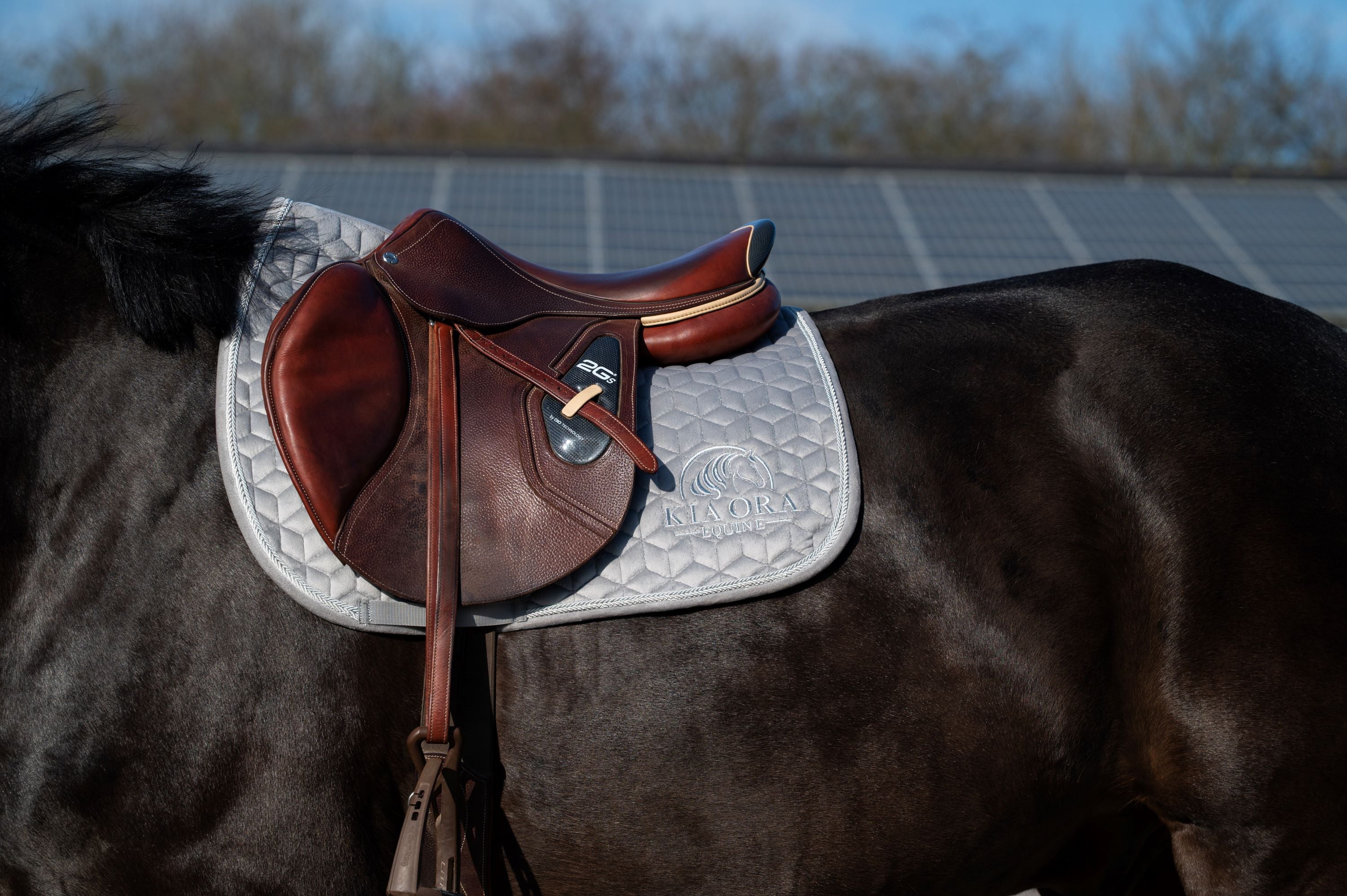 Samt Spring Schabracke Grau