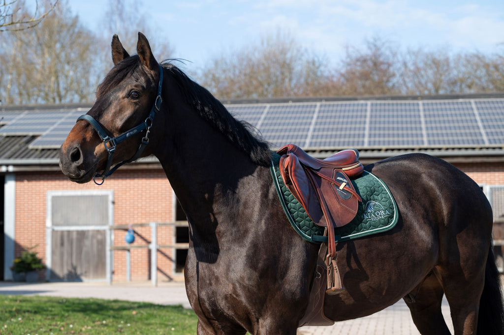 Samt Spring Schabracke Jägergrün