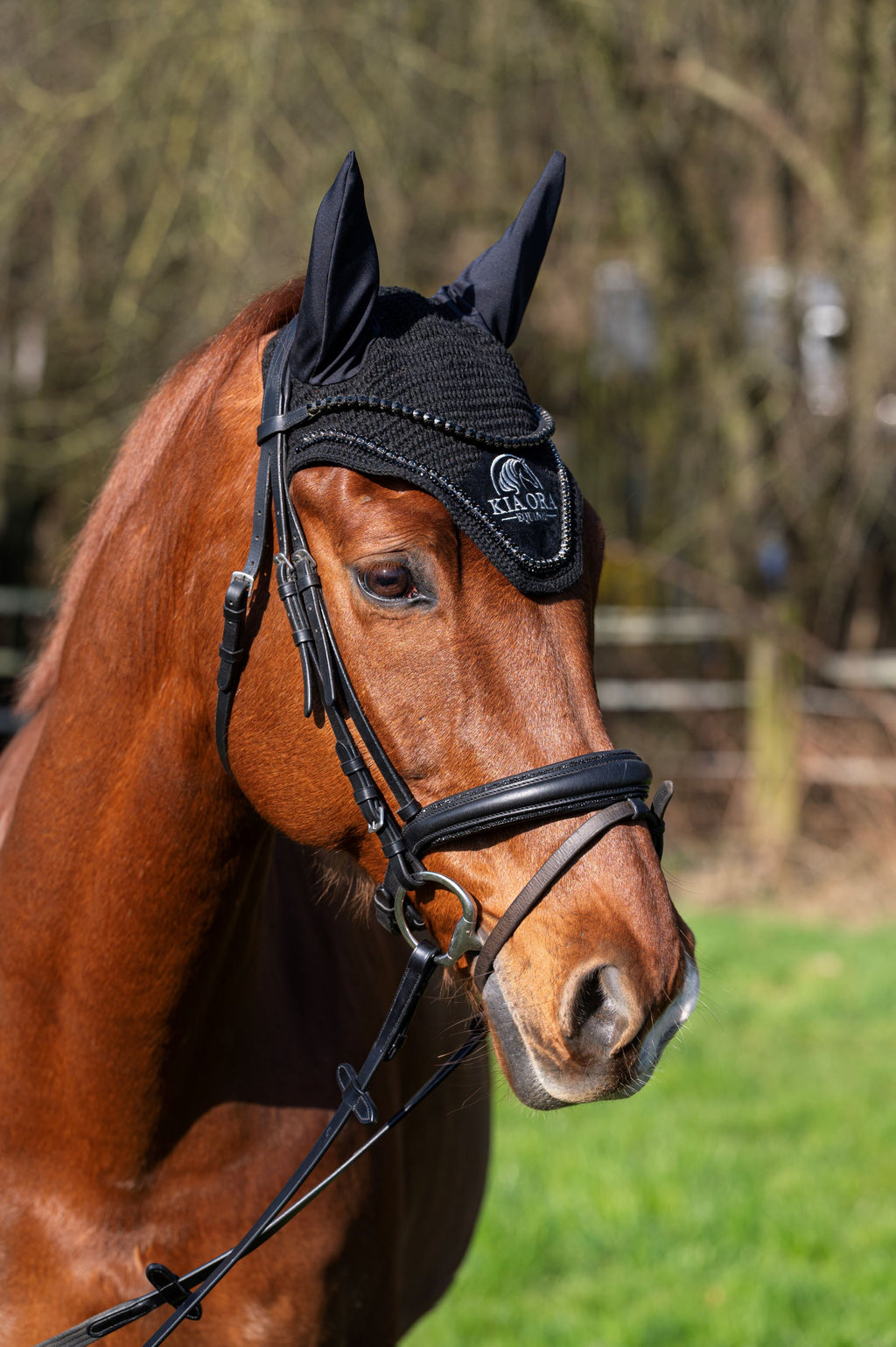 Fliegenhaube mit Glitzersteinen Schwarz