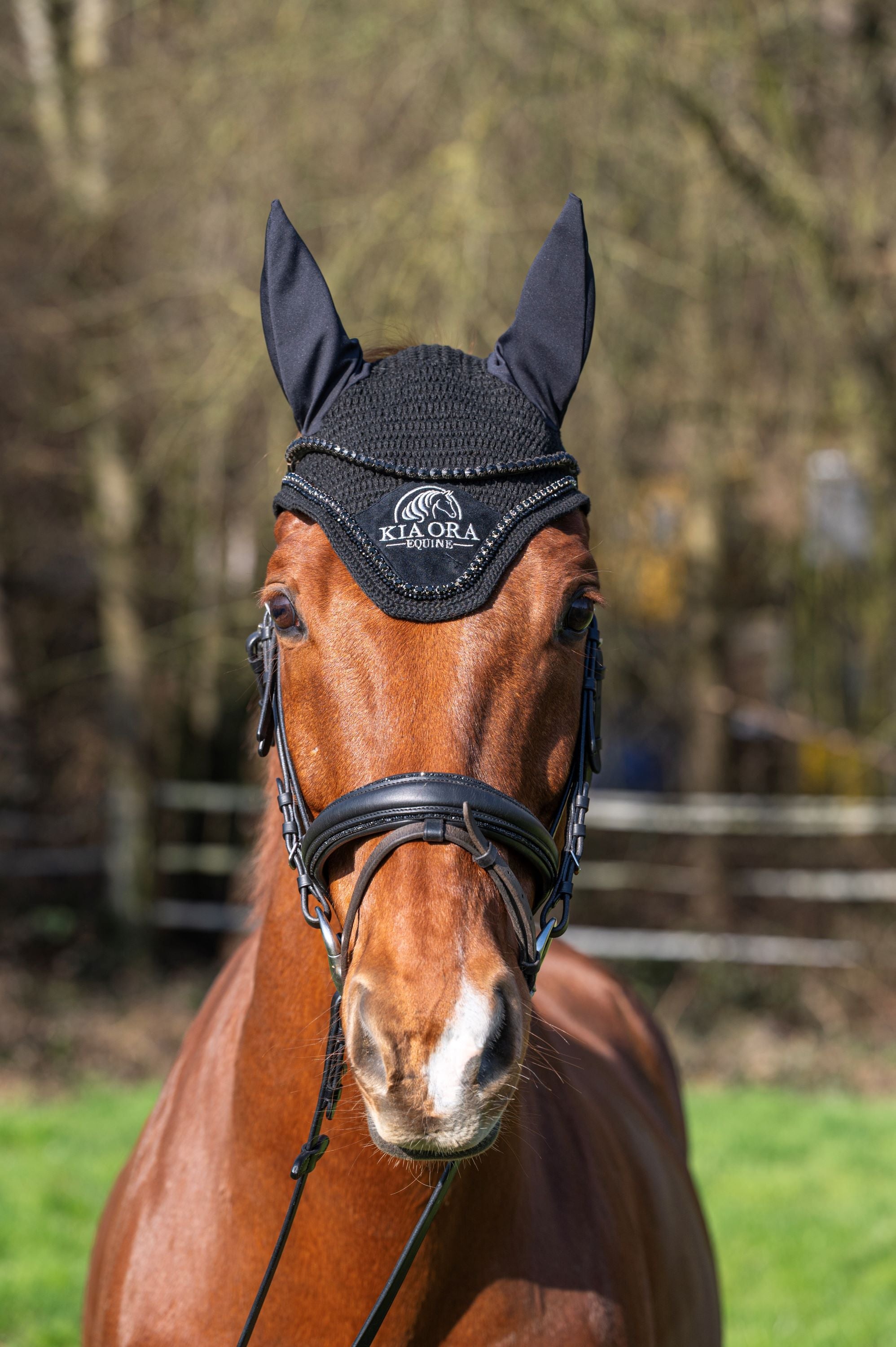 Fliegenhaube mit Glitzersteinen Schwarz