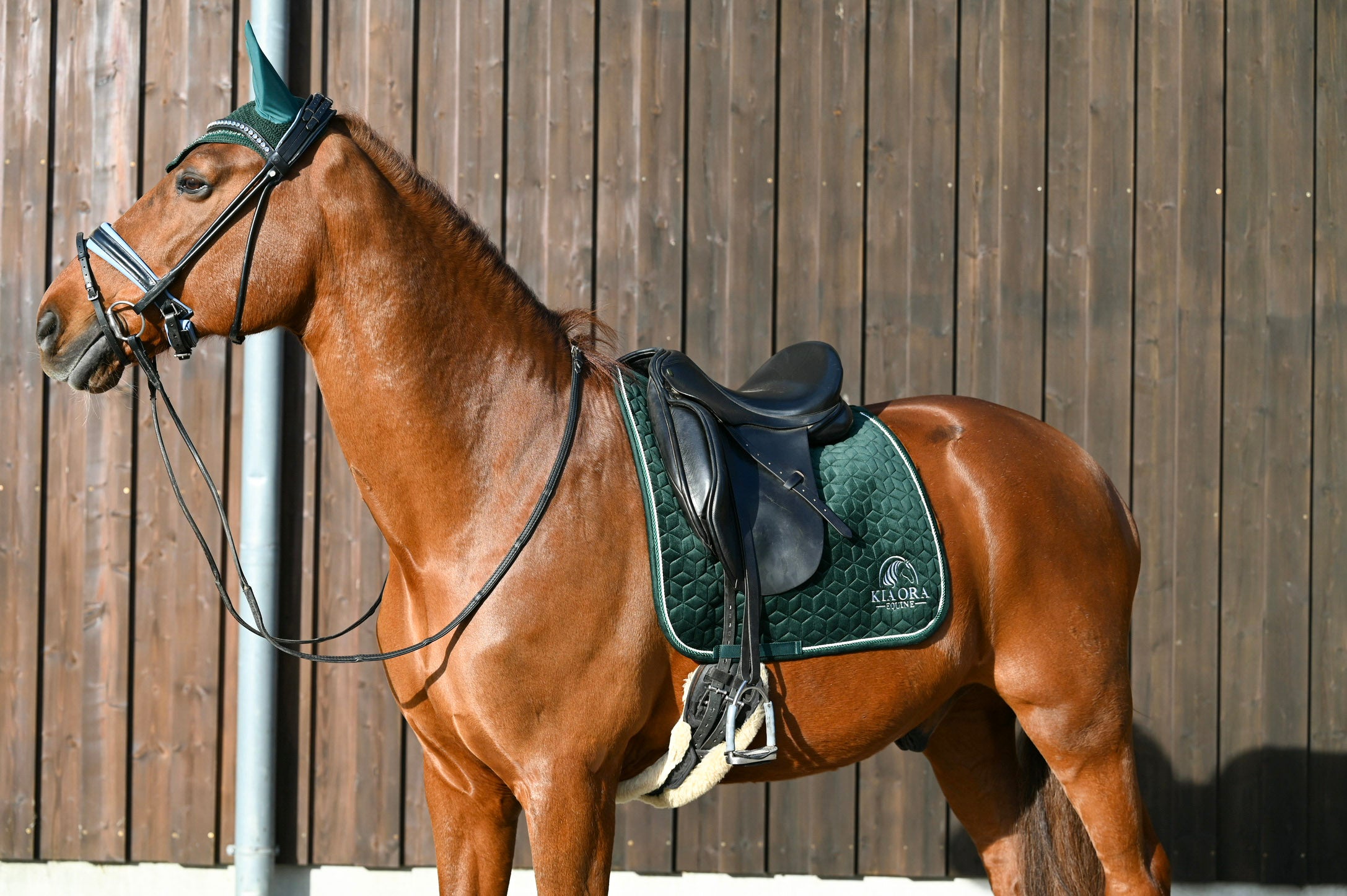 Samt Dressur Schabracke Jägergrün