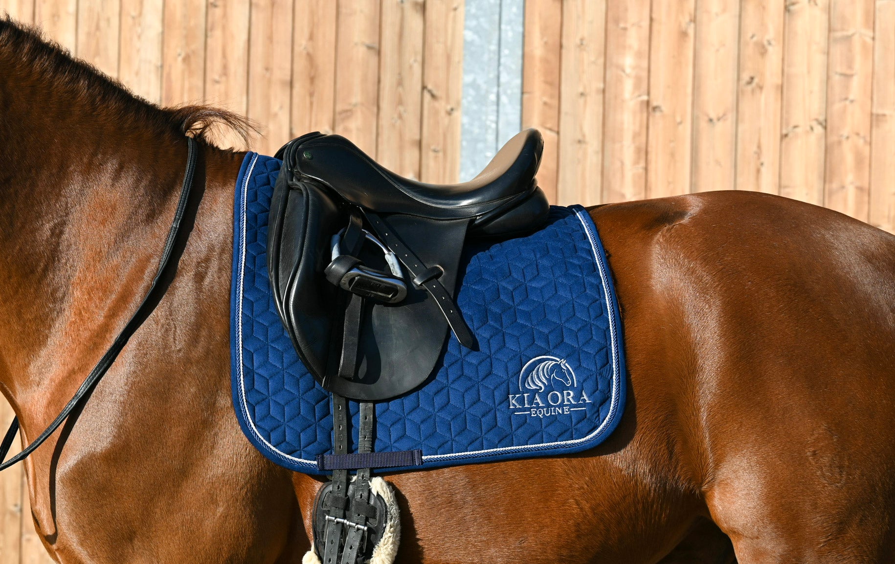 Samt Dressur Schabracke Marineblau