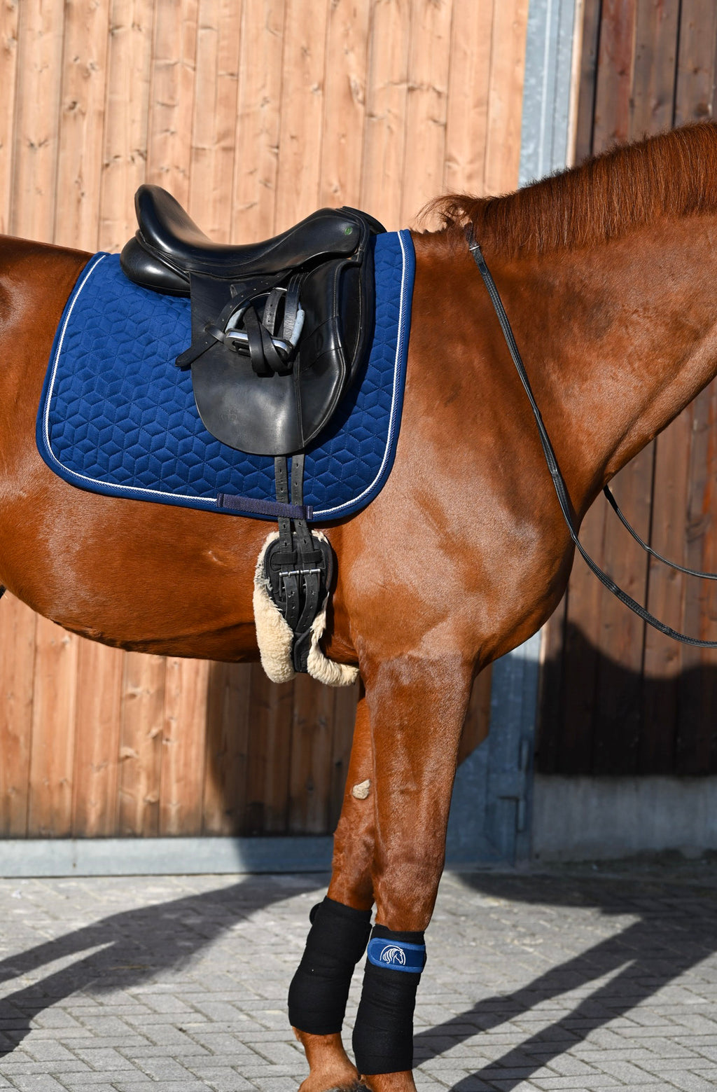 Samt Dressur Schabracke Marineblau