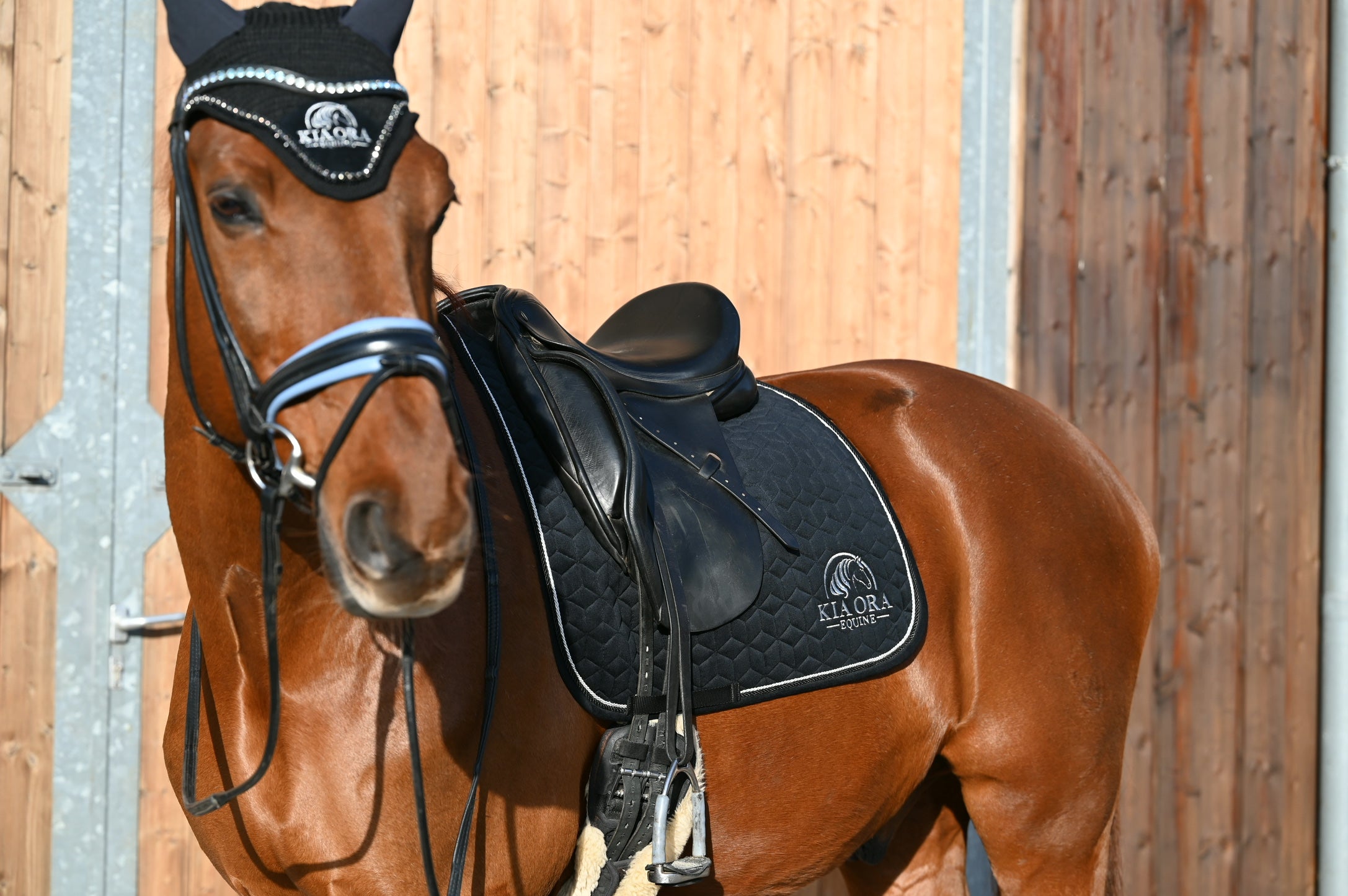 Samt Dressur Schabracke Schwarz