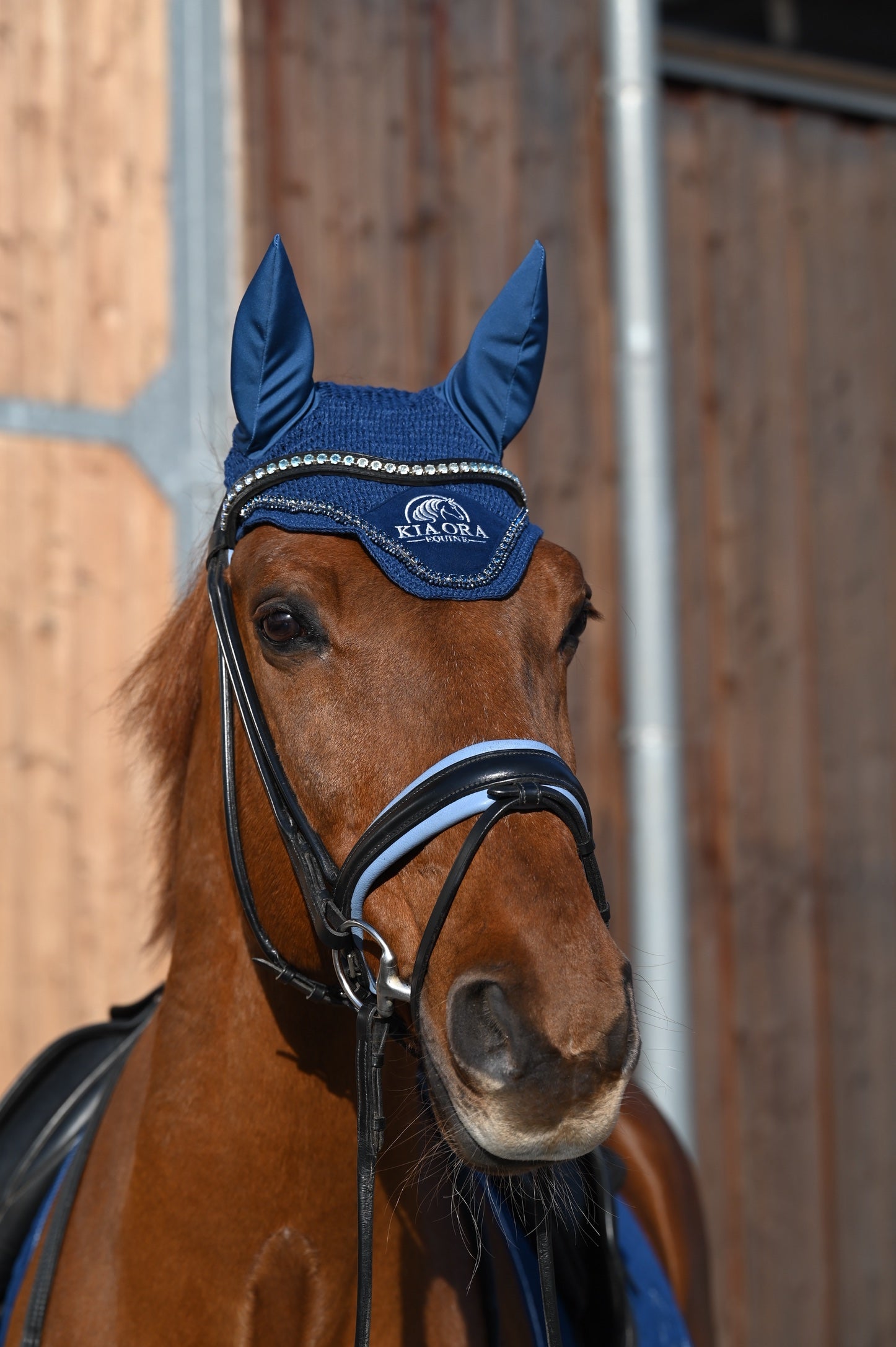 Fliegenhaube mit Glitzersteinen Marineblau